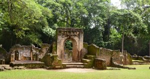 Gallery Thumbnail 2
