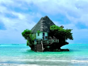 Gallery Thumbnail 1